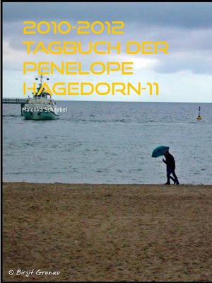 cover image of 2010-2012 Tagbuch der Penelope Hagedorn-11
